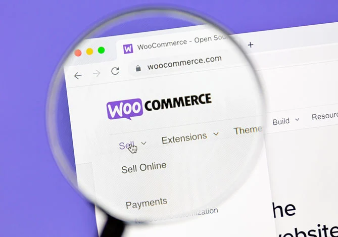 7 Métodos de pagamento WooCommerce: Qual o ideal?